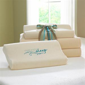 Natures-Sleep-Visco-Pillow