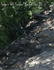 Marshall Pass Rail Road
