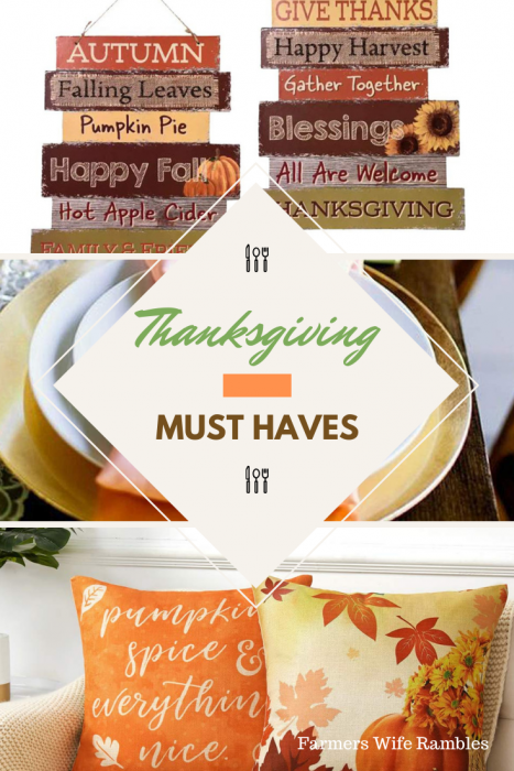 Each family is different and will have the various items and dishes that are Thanksgiving must-haves for their get together.