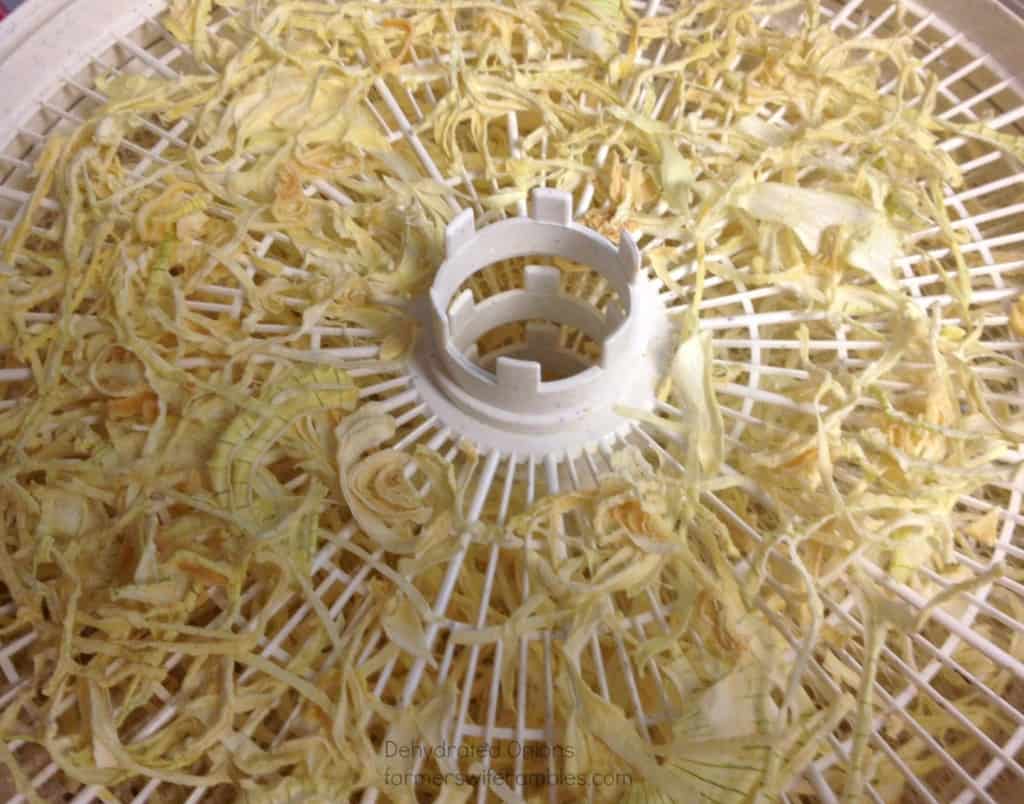 How To Make Your Own Dehydrated Onions Farmer's Wife Rambles