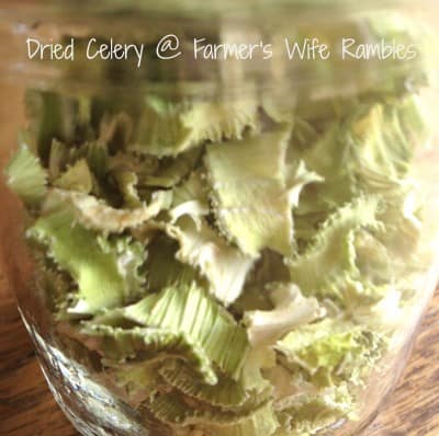 Dried Celery