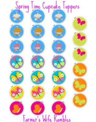 Flower & Butterfly Cupcake Toppers