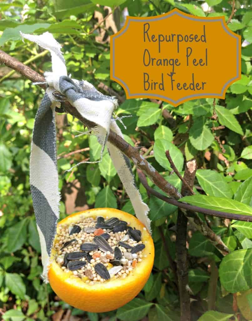 re-purposed orange peel bird feeder