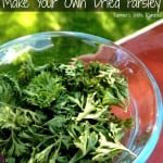 Easily Dehydrate Parsley To Enjoy Year Round