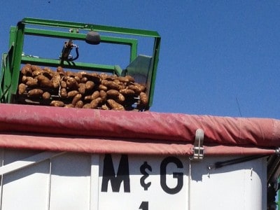 Colorado Potato Harvest 2013