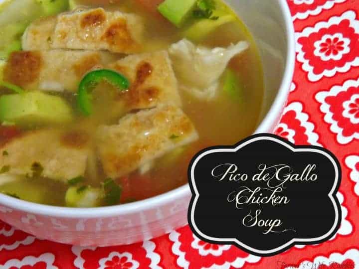 Pico De Gallo Chicken Soup