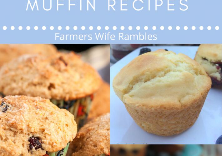 Pictures of various muffins