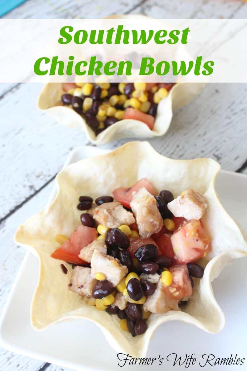 These Southwest Chicken Bowls are perfect for a light lunch on a hot summer day!