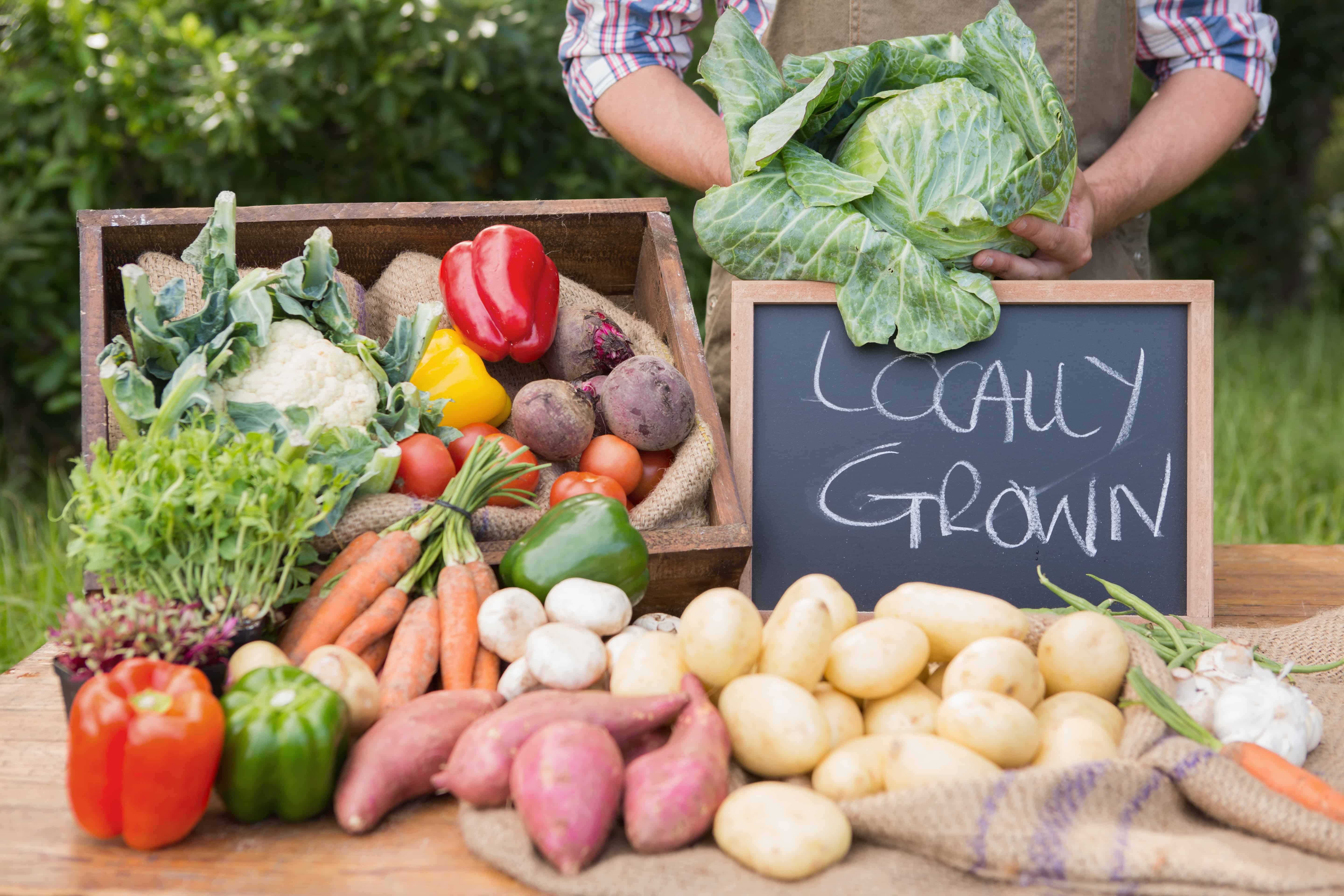 If you are unable to grow a garden or just want to supplement your own produce with more fresh foods, a farmers’ market is a great place to go. Children can learn about local foods, what grows in the area and what is absent.