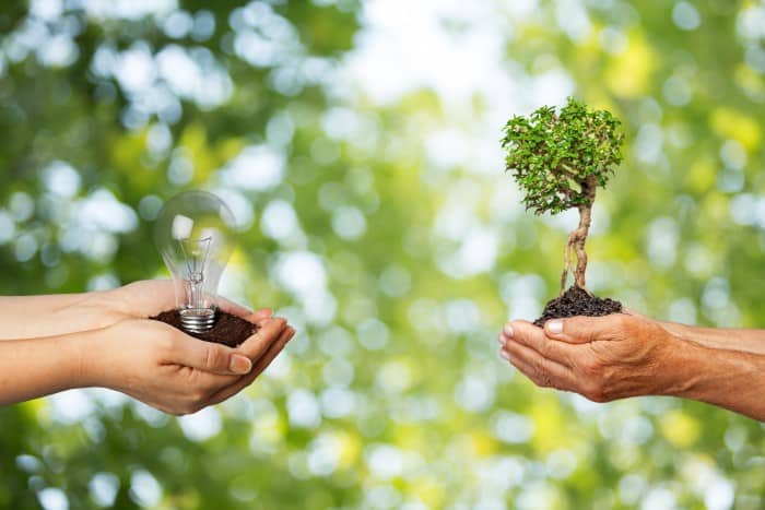  If people are not diligent about keeping the world green and thriving for generations to come, then it is going to wind up hurting the human race in significant ways. 