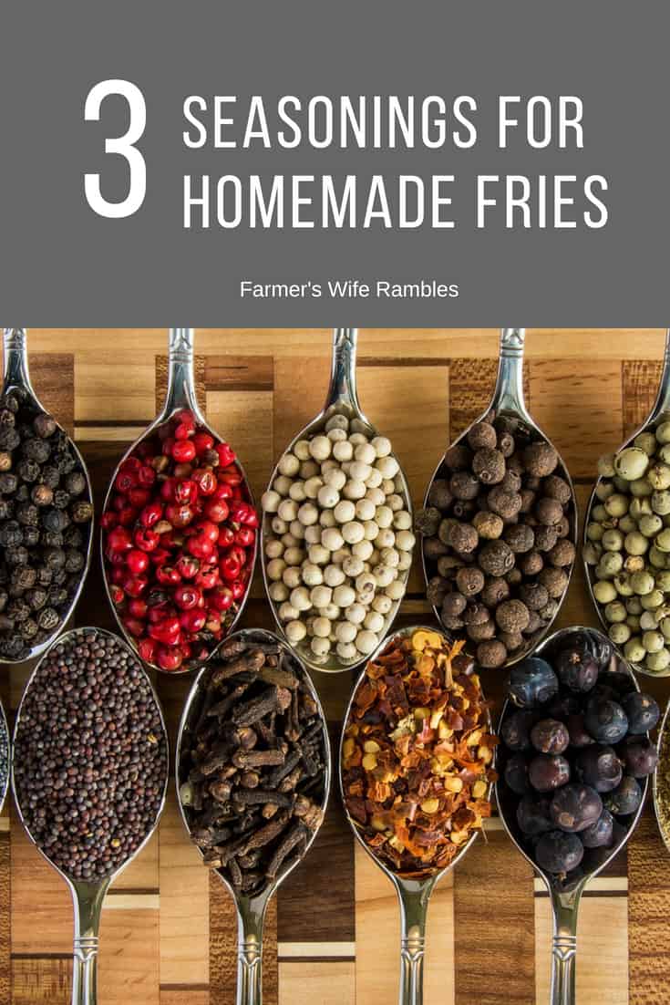 3 Seasonings For Homemade French Fries Farmer s Wife Rambles