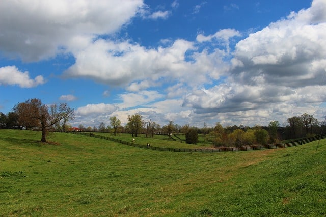 The Perks of Owning Acreage