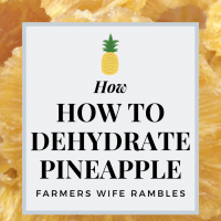 How to Dehydrate Pineapple