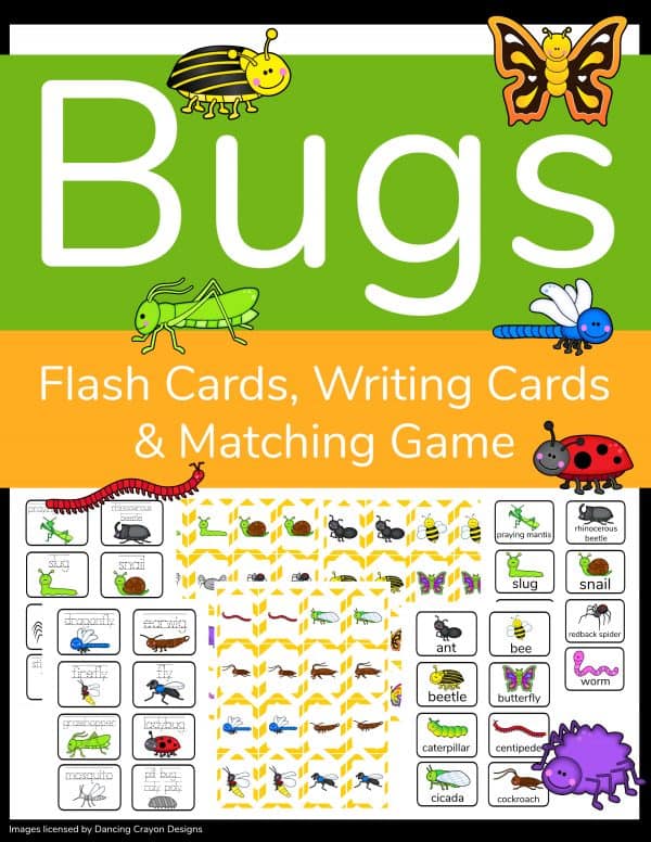 3 in 1 Insect Activity Sheets Cover with bugs and samples of matching game cards, writing cards and insect flashcards