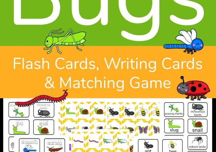 3 in 1 Insect Activity Sheets Cover with bugs and samples of matching game cards, writing cards and insect flashcards