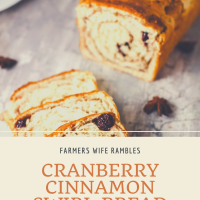 Cranberry Cinnamon Swirl Bread