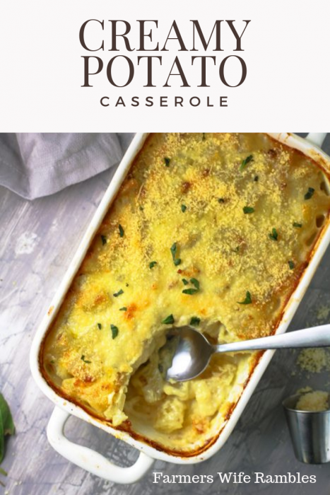 This creamy potato casserole is guaranteed to become everyone's favorite side dish! It’s so delicious you will have to stop yourself from eating it with a spoon. Trust me when I say this is perfect for every dinner, even for a fancy holiday or special occasion. 